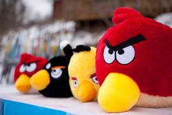 Angry Birds Live