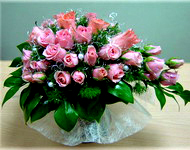 ��������� ����������