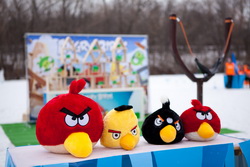  Angry Birds Live