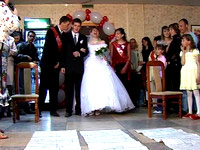 ������ ���������� ����